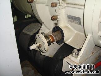中央香蕉视频在线观看网站香蕉视频APP下载IOS更换油过滤芯
